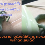 ผลหวยฮานอย ฮานอยวันนี้ 22/07/67