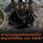 “ผลหวยฮานอย” ฮานอยวันนี้ 29/07/67