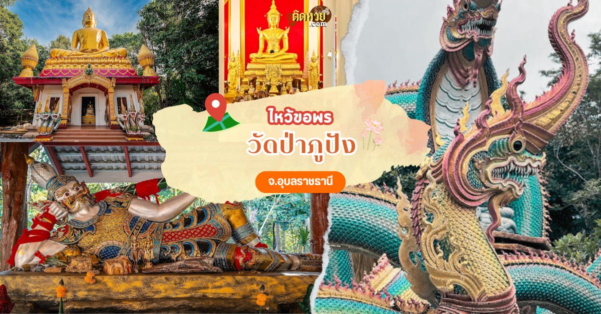 วัดป่าภูปัง ดินแดนพญานาคเรืองแสง