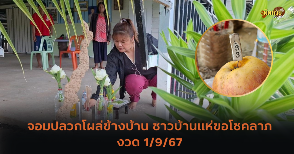 จอมปลวกโผล่ข้างบ้าน ชาวบ้านแห่ขอโชคลาภ งวด 1/9/67