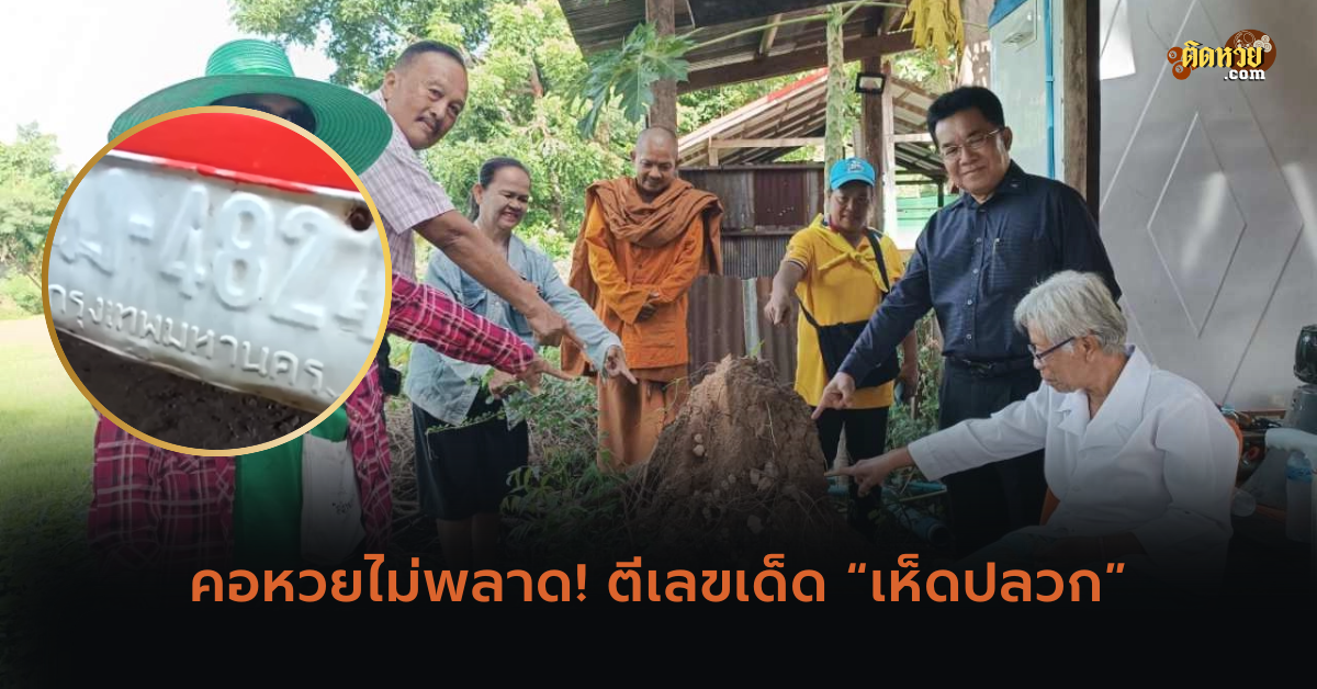 คอหวยไม่พลาด! ตีเลขเด็ด “เห็ดปลวก”