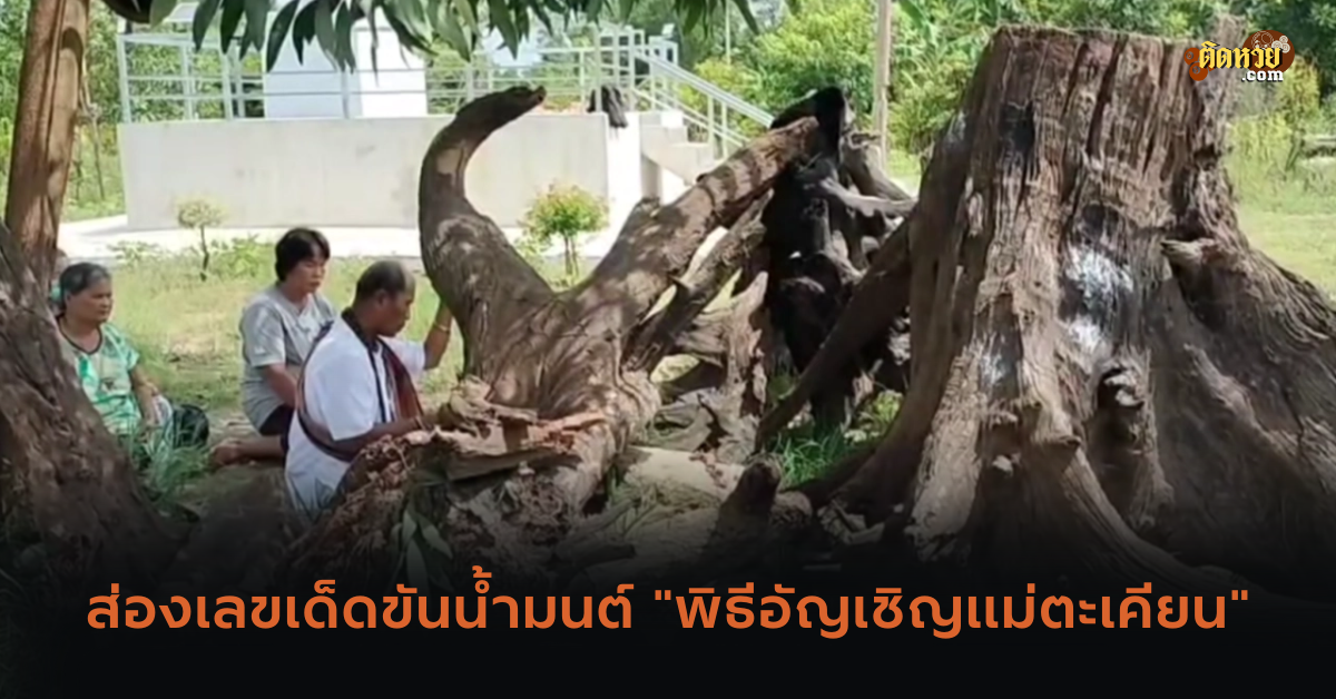 ส่องเลขเด็ดขันน้ำมนต์ “พิธีอัญเชิญแม่ตะเคียน”