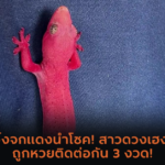 ผลหวยฮานอย “ฮานอย” วันนี้ 04/08/67