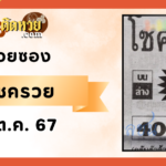 ฮือฮา! ชาวบ้านแห่ส่องไม้ประดู่ยักษ์ ราคาหลัก 10 ล้าน