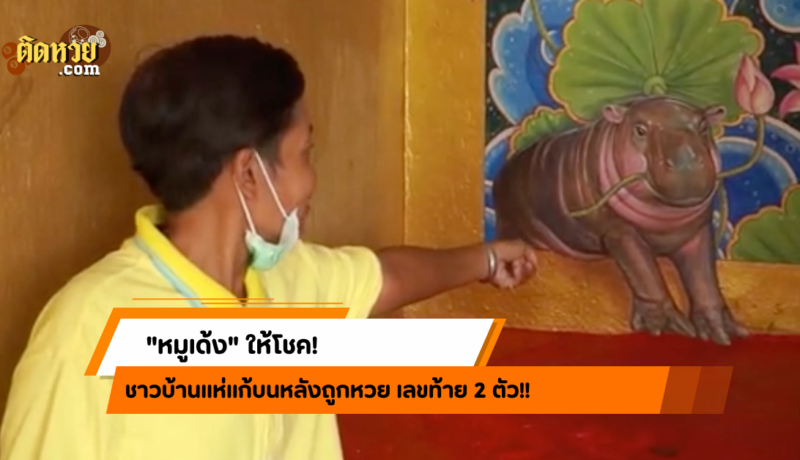 “หมูเด้ง” ให้โชค! สาวดวงเฮงแก้บนวัดสังฆาราม