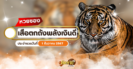 พาไหว้ขอพร โชคลาภ เจ้าแม่กวนอิมพันมือ อ่างศิลา