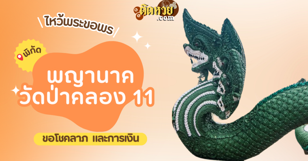 พาไหว้ขอพรโชคลาภ พญานาค วัดป่าคลอง 11