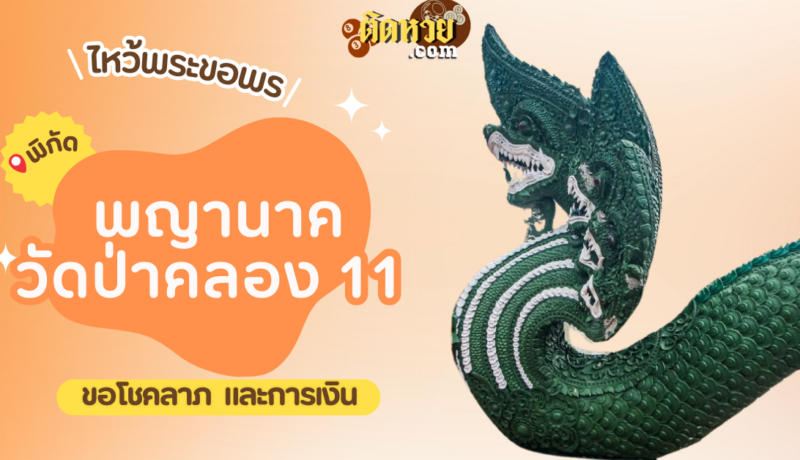 พาไหว้ขอพรโชคลาภ พญานาค วัดป่าคลอง 11
