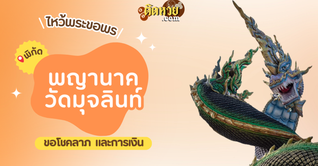 พาไหว้ขอพรโชคลาภ การงาน พญานาค วัดมุจลินท์