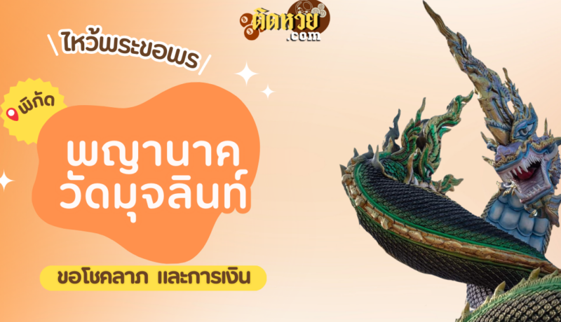 พาไหว้ขอพรโชคลาภ การงาน พญานาค วัดมุจลินท์