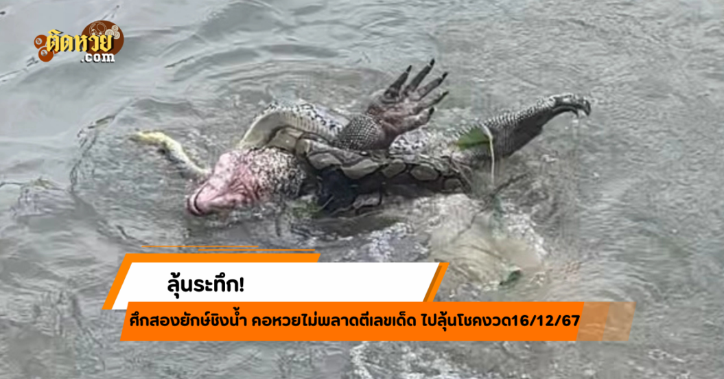 ลุ้นระทึก! ศึกสองยักษ์ชิงน้ำ คอหวยแห่ตีเลขเด็ดตาม!!