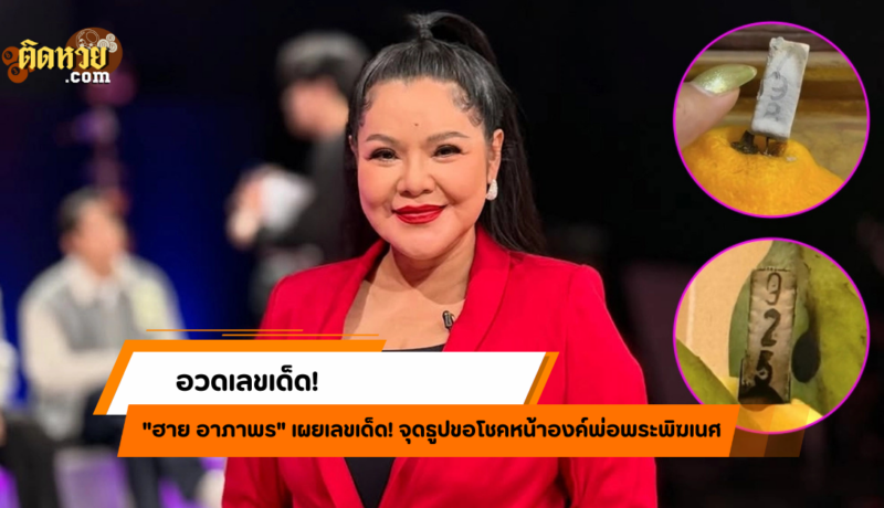 ฮาย อาภาพร อวดเลขเด็ด! ธูปหน้าองค์พ่อให้มา