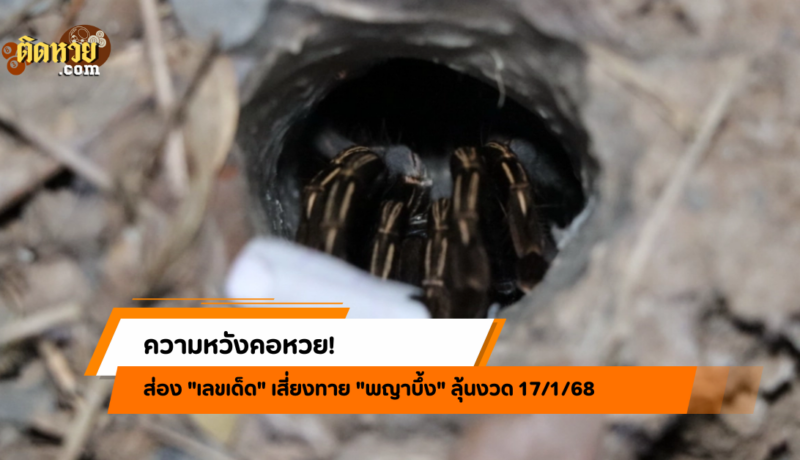 พญาบึ้งให้เลขเด็ด! คอหวยแห่ส่องลุ้นโชคงวด 17/1/68