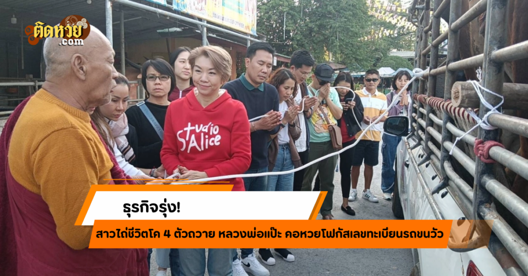 สาวใจบุญไถ่ชีวิตโคถวายวัด คอหวยแห่ส่องเลขเด็ดรถ!