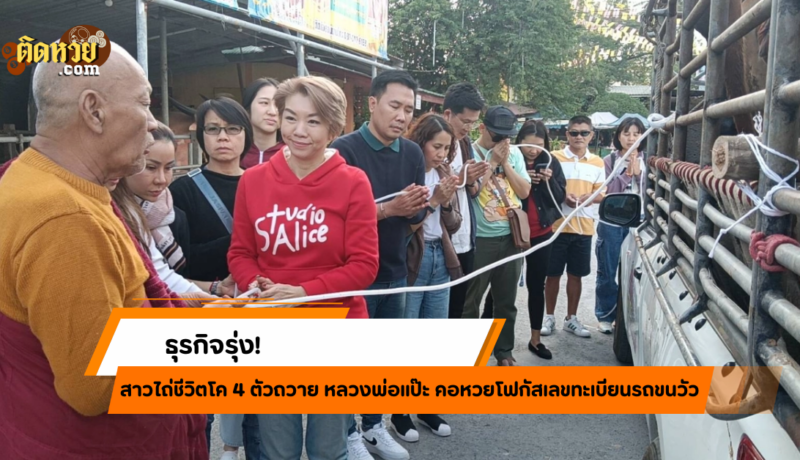 สาวใจบุญไถ่ชีวิตโคถวายวัด คอหวยแห่ส่องเลขเด็ดรถ!