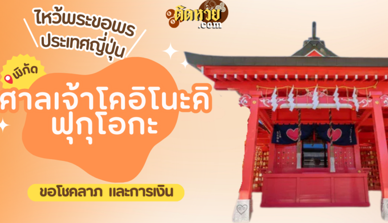 ตะลุยญี่ปุ่น ไหว้ขอพรศาลเจ้าโคอิโนะคิ